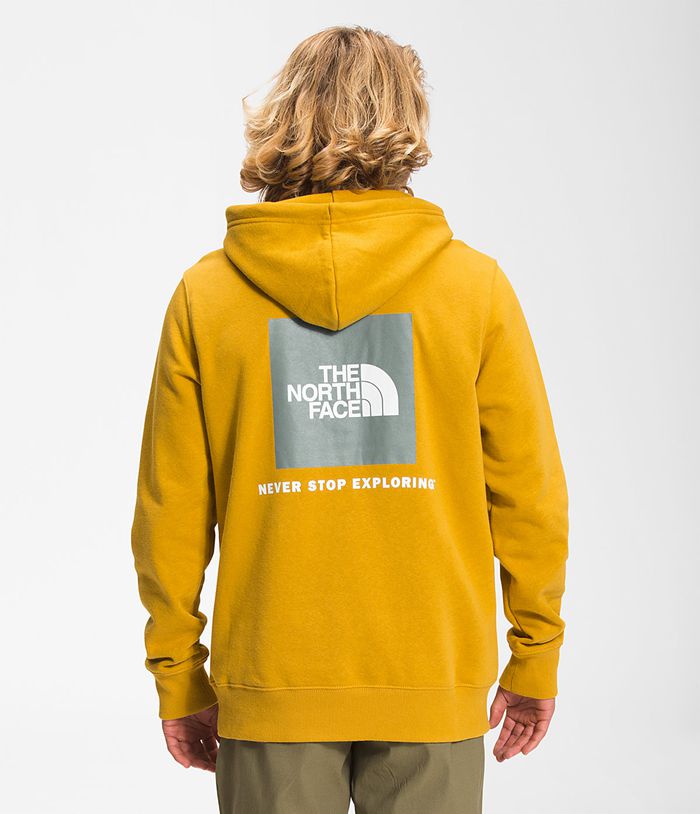 Sudadera Con Capucha The North Face Hombre Amarillo Box Nse Pullover 73146DBIR